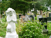 Notre-Dame-des-Neiges Cemetery