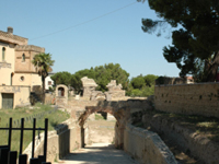 Larino