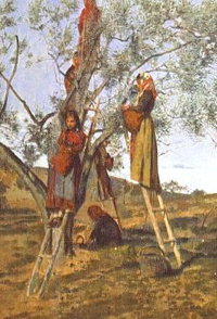 italian peasants