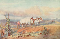 italian peasants contadini