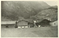 italian peasants contadini