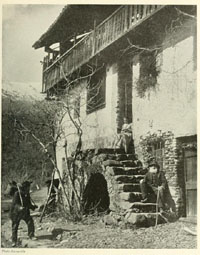 italian peasants contadini