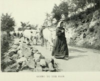 italian peasants contadini agricultural fairs
