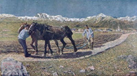 italian peasants contadini
