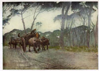 italian peasants contadini
