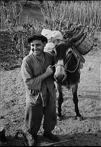 Italian farmers