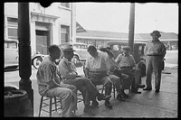 Italian immigrants