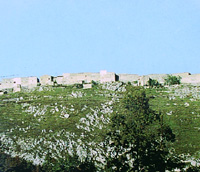 Bojano