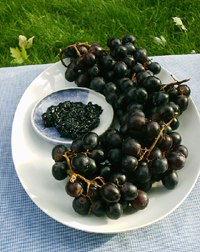  Italian wine grape marmalade