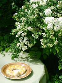 Carosello Easter cookie