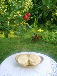 Pizzelle