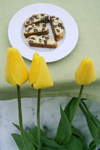  Chocolate Chip Cantuccini