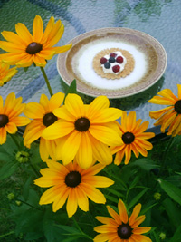 pizzelle