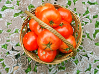 tomatoes