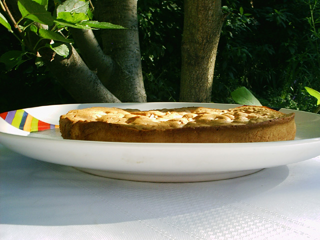 eggplant parmigano