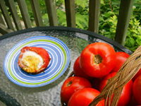tomatoes with eggs