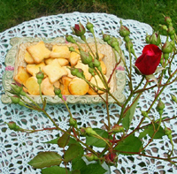 corn meal cookies