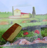 Genoese cake