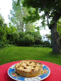 Florentine apple pie