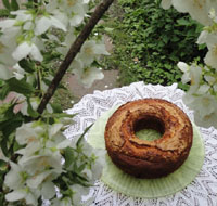 Mary's Apple and Almond Cake