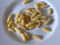 pine nuts