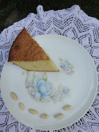 Bocca di Dama Italian almond cake