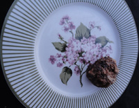 scarponi di natale Abruzzo christmas cookies