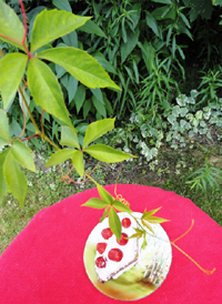 cassata di ricotta alla siciliana
