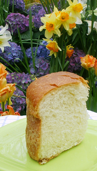 Pane di Pasqua, Molisan Easter bread