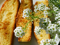lemon biscotti